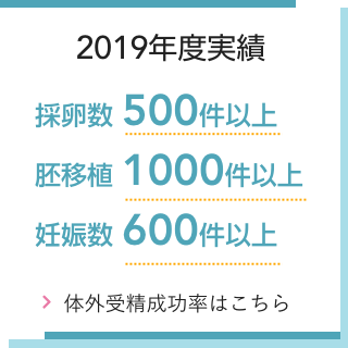 2019年実績