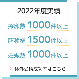 2022年度実績