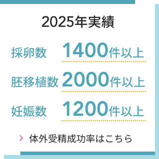 2025年実績